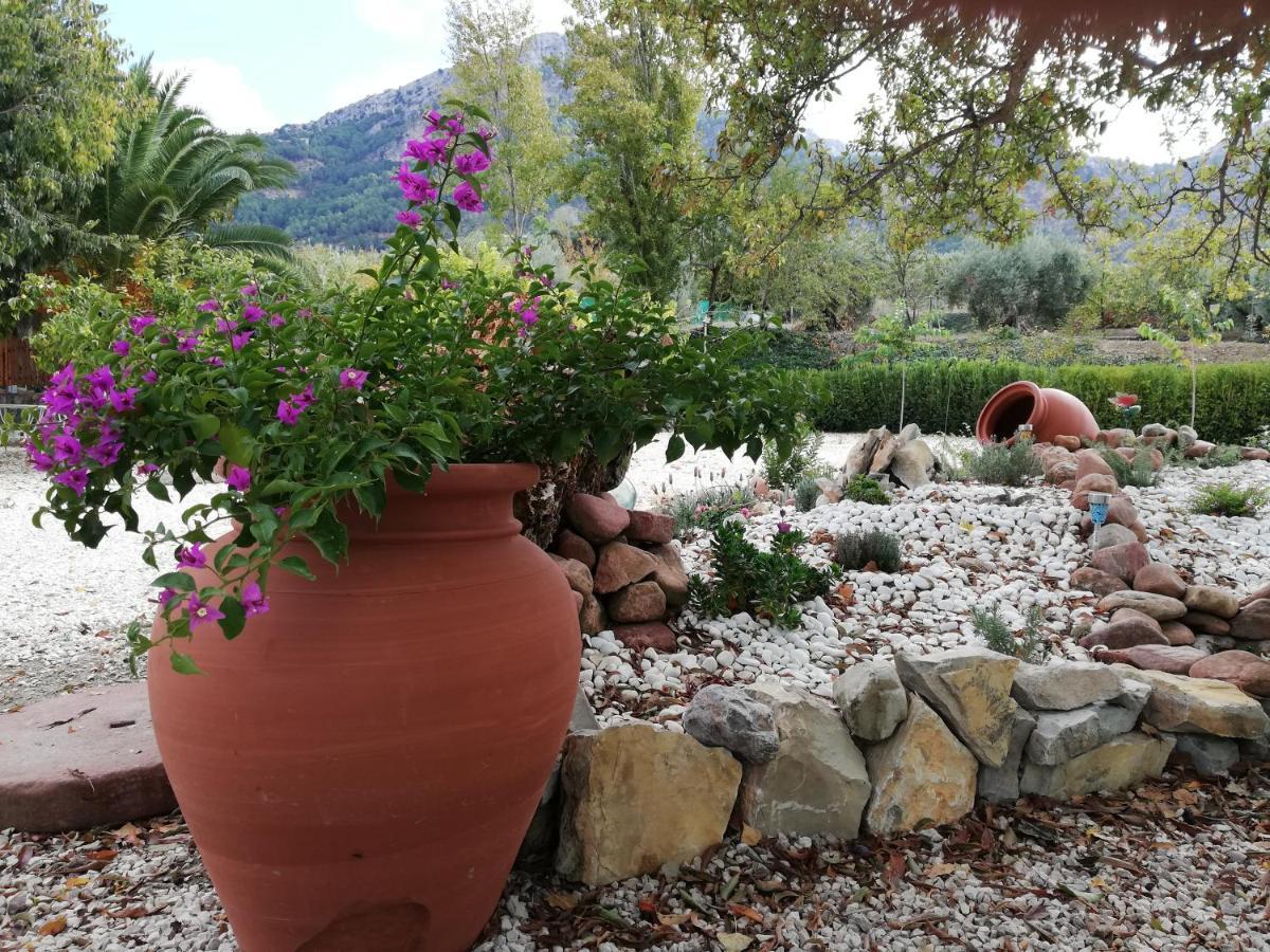 Alojamiento Rural Casa Fuente Del Prado La Iruela Eksteriør bilde