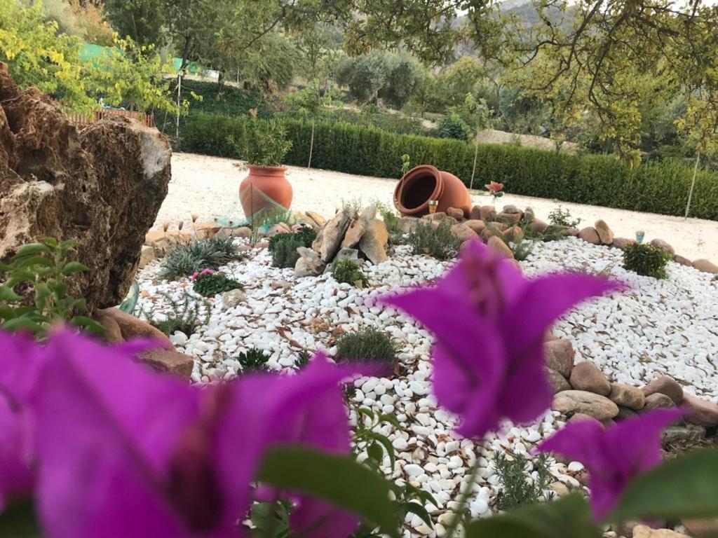 Alojamiento Rural Casa Fuente Del Prado La Iruela Eksteriør bilde